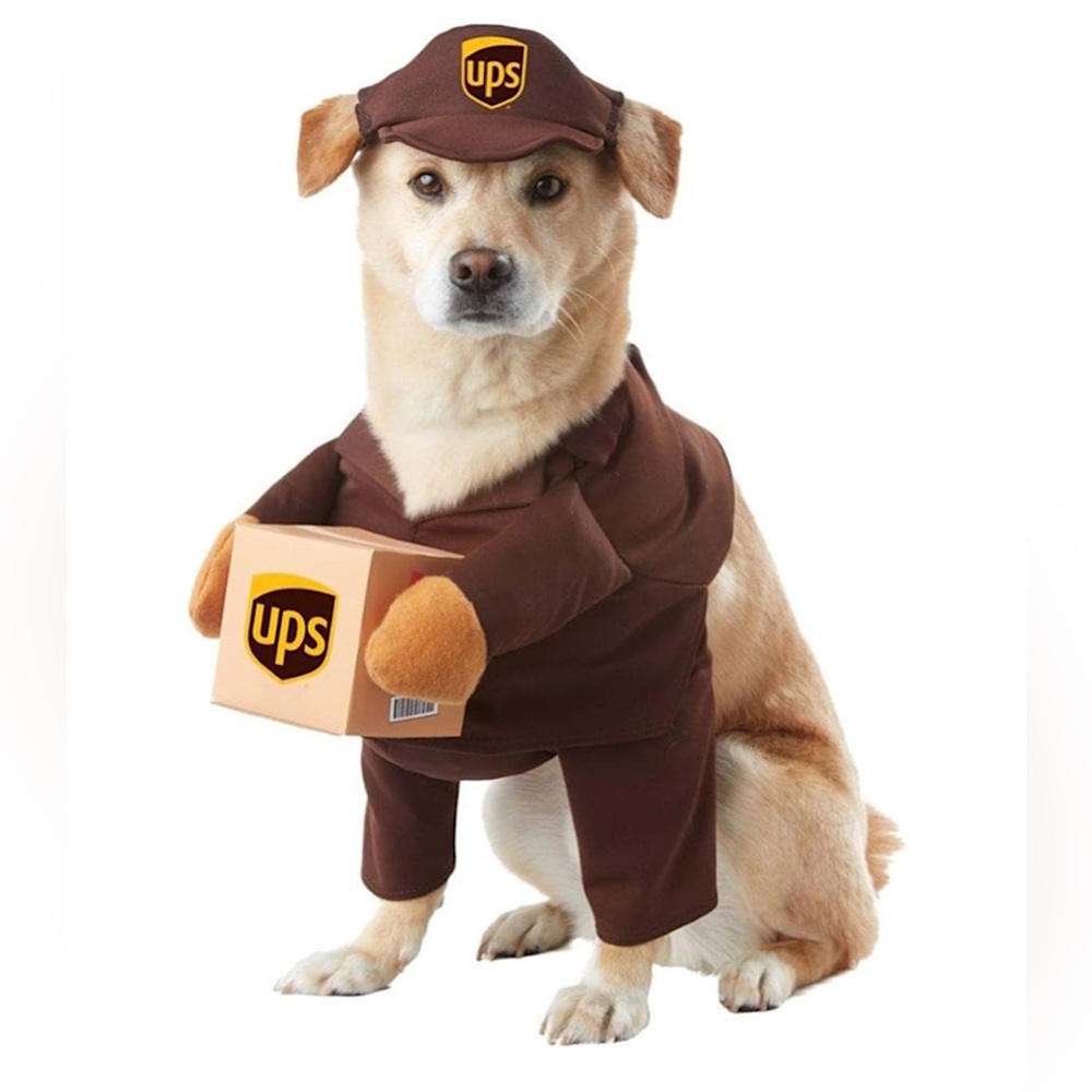 large Dog UPS uniform outfit costume delivery tiktok content creation halloween